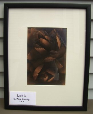S Kay Young, Detroit based Artist, 3 photographic wo: S. Kay Young, Detroit based Artist, 3 Botanical photographic works, including 6 x 9" Silver Gelatin print of "Laelia Purpurata Alba Orchid", sepia toned, archival framed 15 1/4" x 18 1/2". Next is a 6
