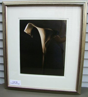 Frederic Ohringer, Amer. b.1940 Tone silver print: Frederic Ohringer, Amer. b.1940 Tone silver print "Dark as Kali" 1996, 16 x 20" signed lower right, #2 of 25, archival framed, 29 1/2 x 26" . Includes original receipt for $1500 from "Room With a View