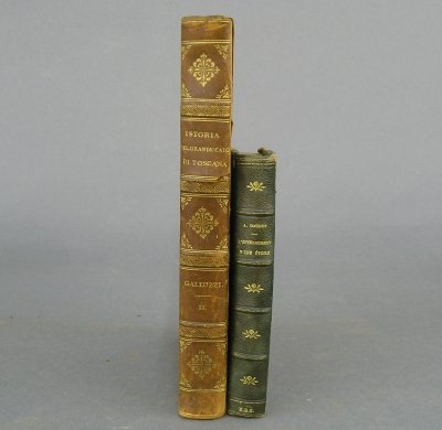 2 Books: "History of the Grand Duchy of Tuscany and its Governance Under the Medici" Livorno, 1781. Second edition, vol. 2 only. In Italian, with engraved frontispiece. Also, Alphonse Daudet, "L'Enterrement d'