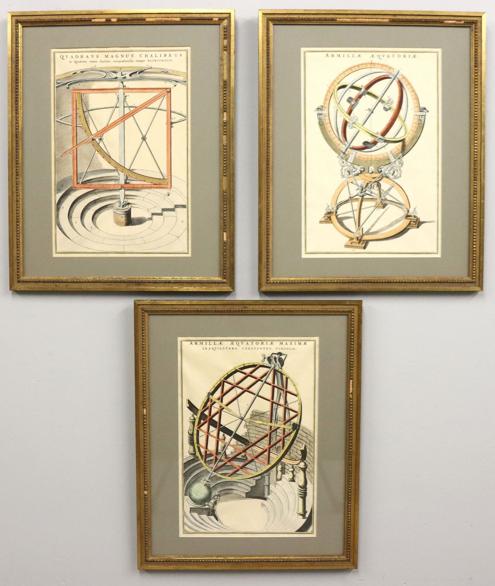 19th Century Scientific Engravings (1 of 1)