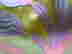 item-131576699=4