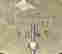 item-135008006=4