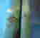 item-135008019=10