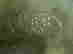 item-135008019=4
