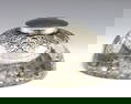 English Sterling & Cut Glass Inkwell