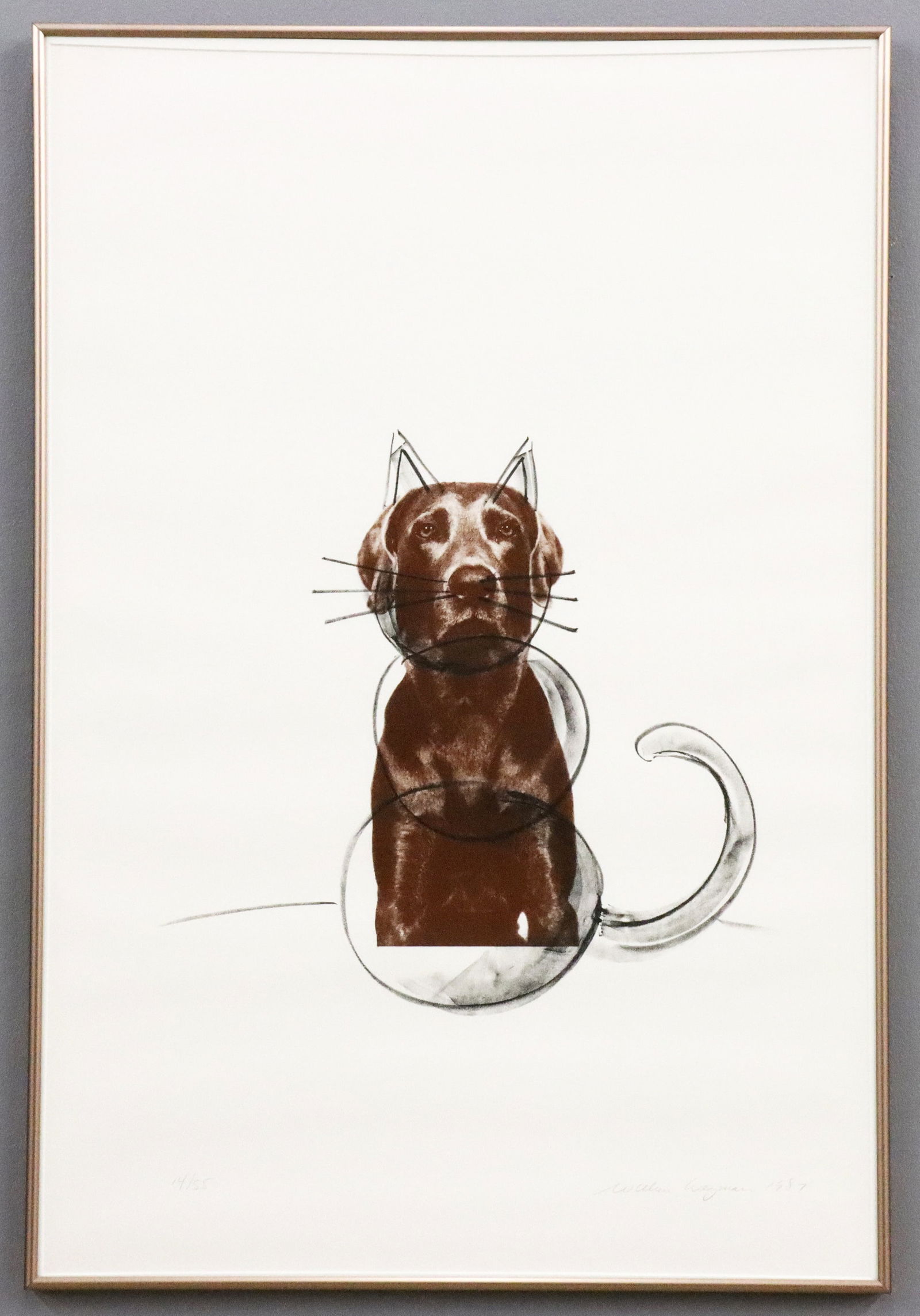 W. Wegman Ray Cat Lithograph: William Wegman, American, b. 1943. A 1980's lithograph in colors on paper, titled "Ray Cat". Signed "William Wegman" and dated "1987" in pencil above blind stamp lower right, numbered "14/55" lower le