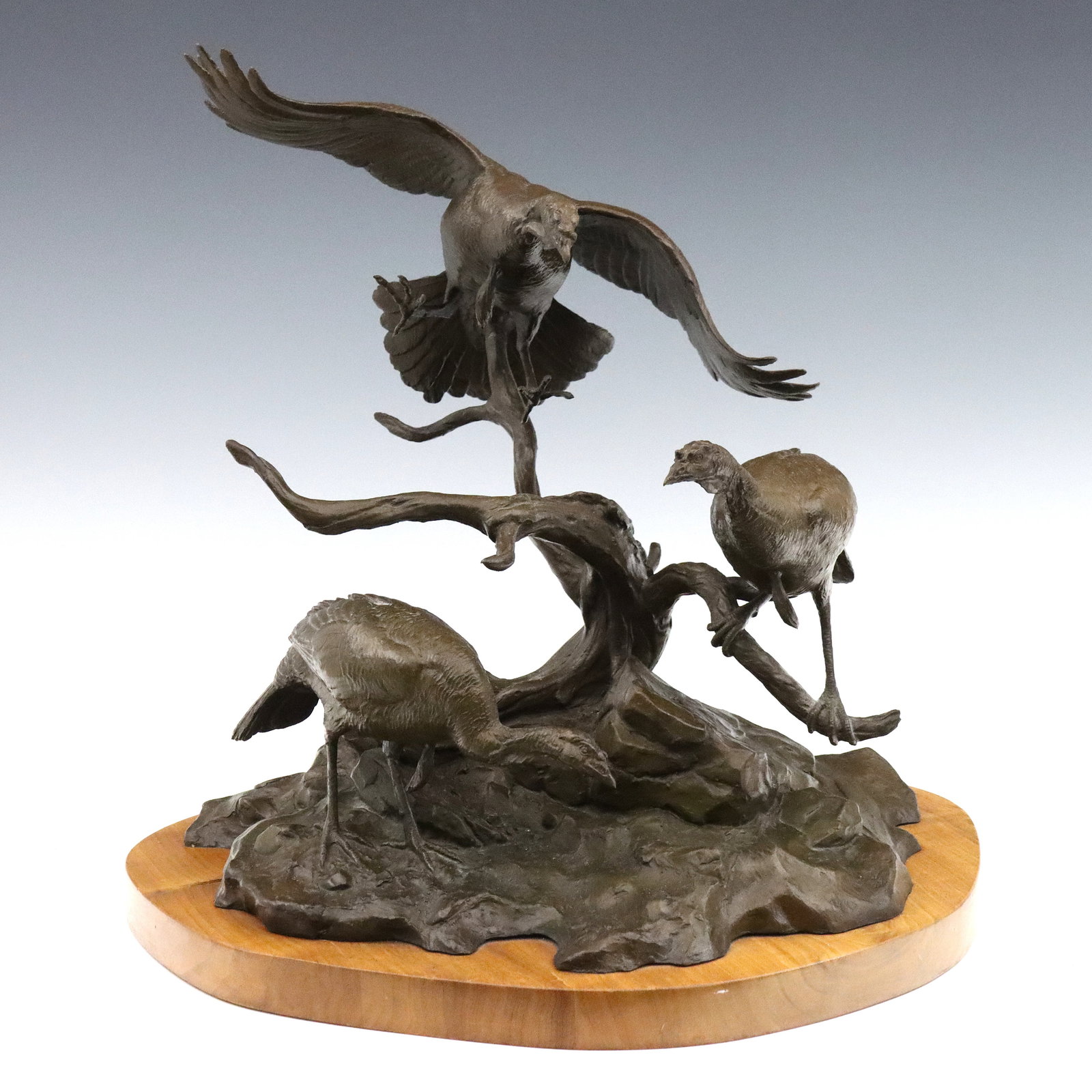 Bronson Bronze Grouping of Turkeys (1 of 4)