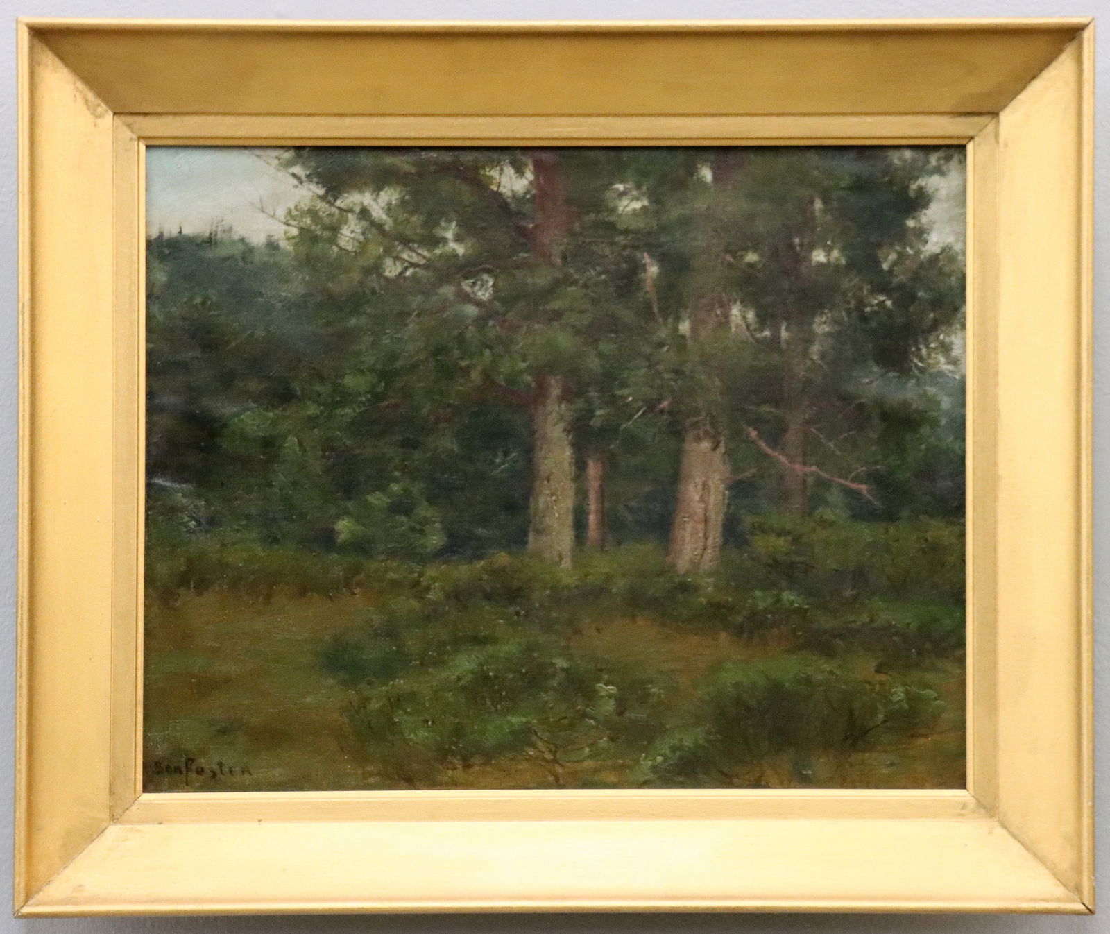 Ben Foster Forest Landscape (1 of 4)