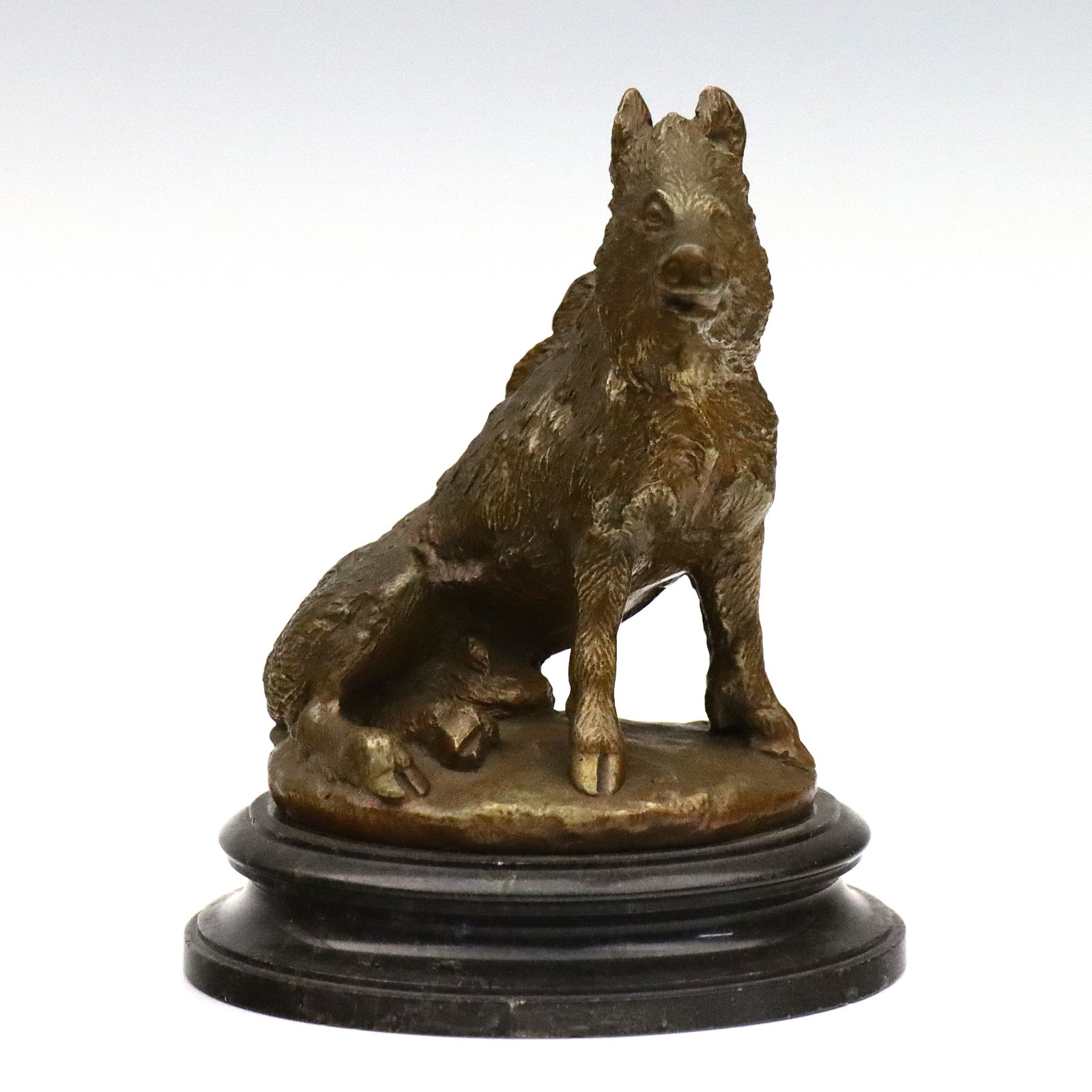 Bronze Figure of Il Porcellino: An early 20th century Bronze figure of a boar after "Il Porcellino" by Pietro Tacca (Italian, 1577-1640). Presented on a Black Marble plinth. Minor wear to patina. 5" high. ESTIMATE $200-300 