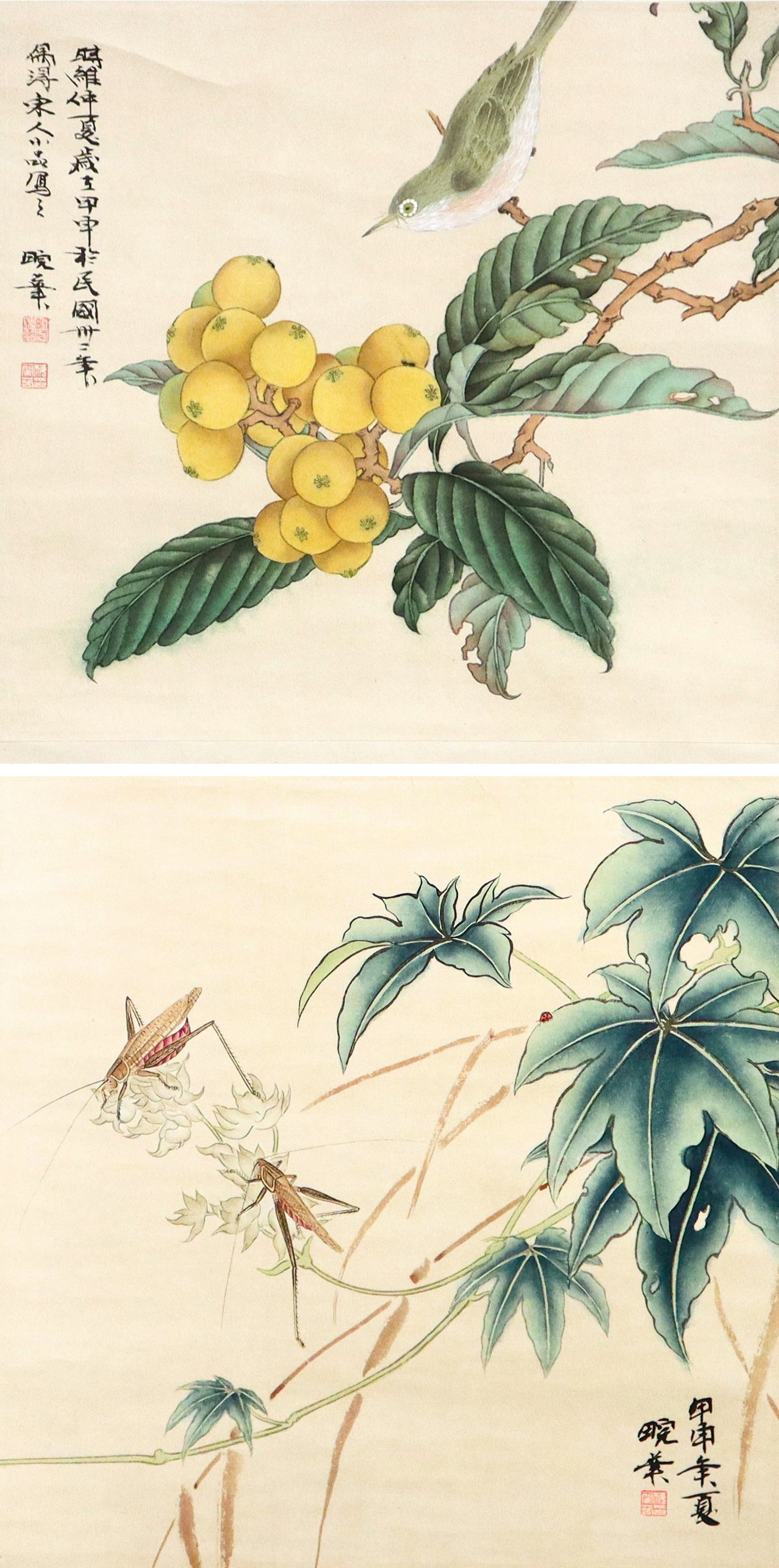 Chinese Scroll, Mark of Mei Lan: Mark of Mei Lanfang (Mei Lan), Chinese, 1894-1961. An ink and color on paper hanging scroll with two images depicting a tit perched on the brand of a loquat tree and two grasshoppers among foliage. Ca