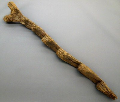 Native American Ladder: A Native American Ladder. Carved wooden ladder, very dense heavy wood with Six stepped toe holds and a Forked top and pointed base. Most likely a Hopi Kiva ladder. Some wear and losses. 77 1/2" high.