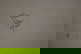 item-210436221=5
