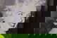 item-210436323=2